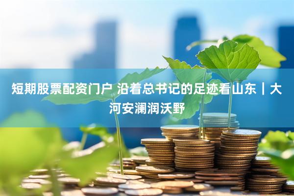 短期股票配资门户 沿着总书记的足迹看山东｜大河安澜润沃野